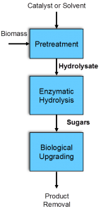 Biocatalyst preservation process