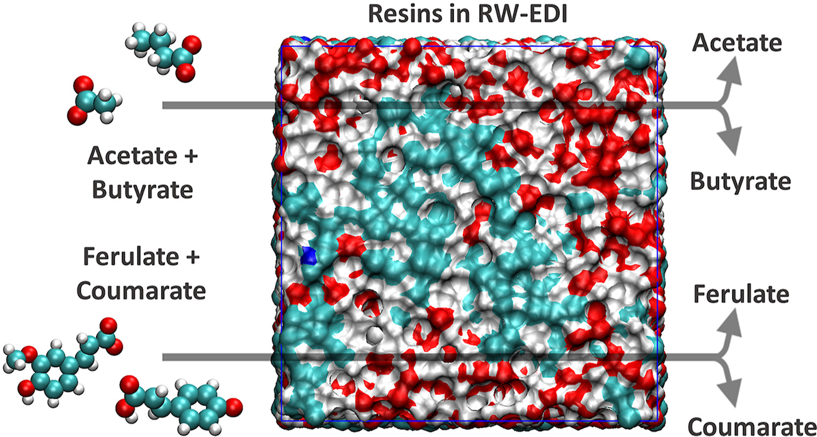 Atomic scale understanding of organic anion separations using ion-exchange resins