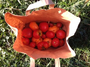 paper bag o' tomatoes